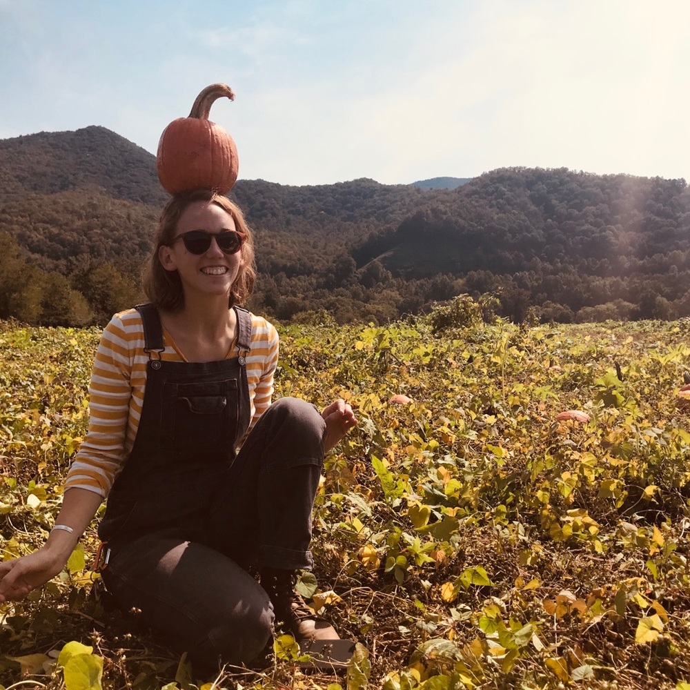 Meet your Posher, Lindsey